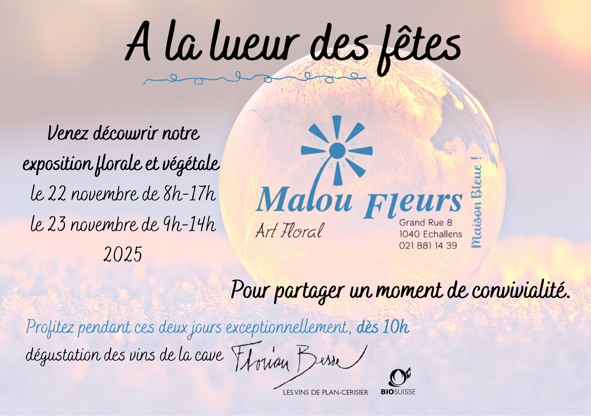 Malou affiche 2025